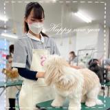 2025【★2年生限定★】AIKENのオープンキャンパスの詳細