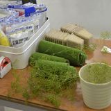 庭の模型づくりの詳細