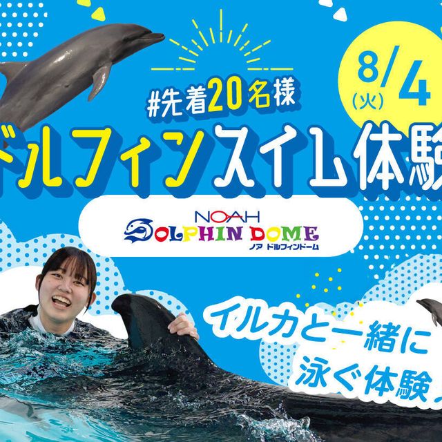 大阪ＥＣＯ動物海洋専門学校 【高校2年生限定】ドルフィンスイム体験！1