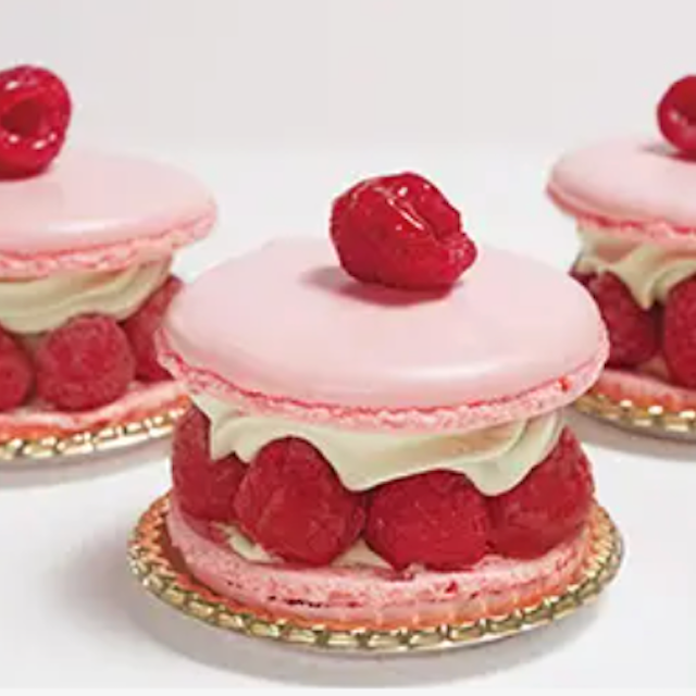 専門学校ビジョナリーアーツ マカロンケーキ （takeout）1