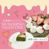武蔵野栄養専門学校 MUSASHINO VALENTINE★ ～MSF第3弾～