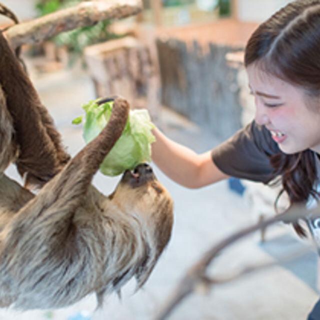 専門学校ビジョナリーアーツ 動物たちにエサやり体験！1