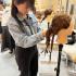 名古屋ビューティー専門学校 ヘアメイク事務所の先生から学ぶ！！ヘアアレンジ♪1