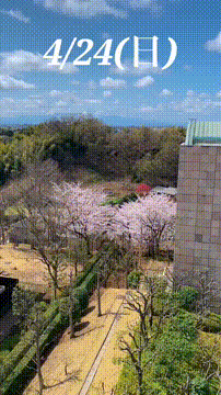 OCカメラサムネイル画像