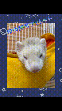 OCカメラサムネイル画像