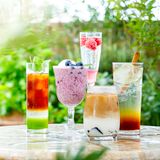 調理師が届ける最高のカフェ体験！　名調のオープンキャンパスの詳細