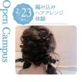 編み込みヘアアレンジ体験の詳細