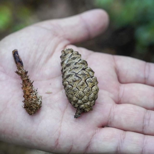 東京環境工科専門学校 『冬の哺乳類とフィールドサイン』体験授業を同時開催！3