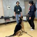 専門学校　ちば愛犬動物フラワー学園 【ドッグトレーナー】トレーニングの基本姿勢を応用しよう！