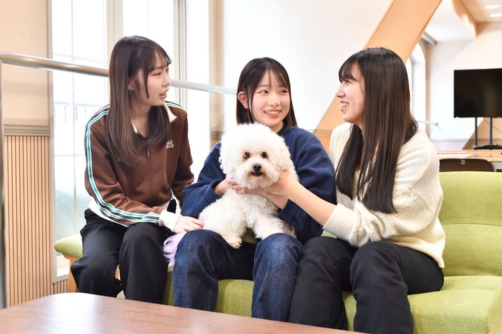 サブ画像