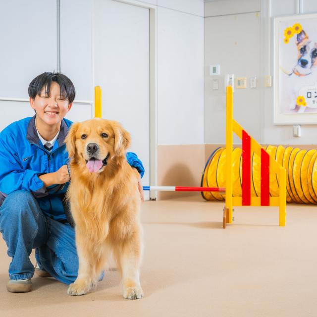 河原アイペットワールド専門学校 家庭犬トレーナー合格率100％達成！ペット総合学科！1