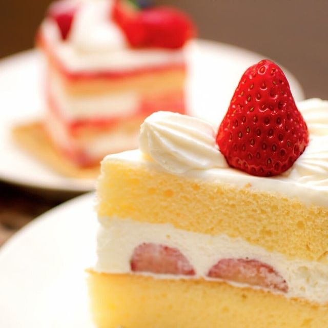 北海道武蔵女子短期大学 5月24日開催！北海道武蔵女子短期大学4