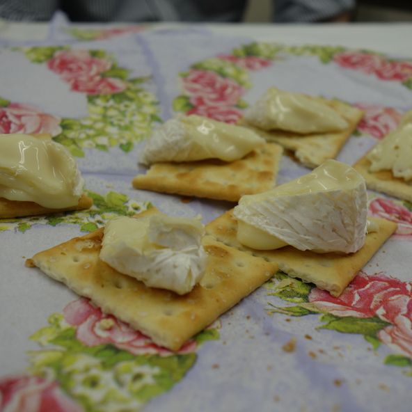 グレッグ外語専門学校横浜校 資料請求 願書請求 学校案内 スタディサプリ 進路