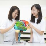詳細を見る