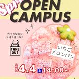 【製パン】いちごのメロンパンの詳細