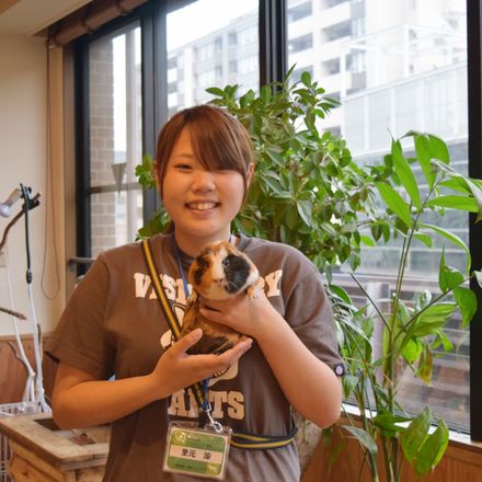 在校生レポート画像