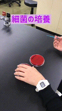 OCカメラサムネイル画像