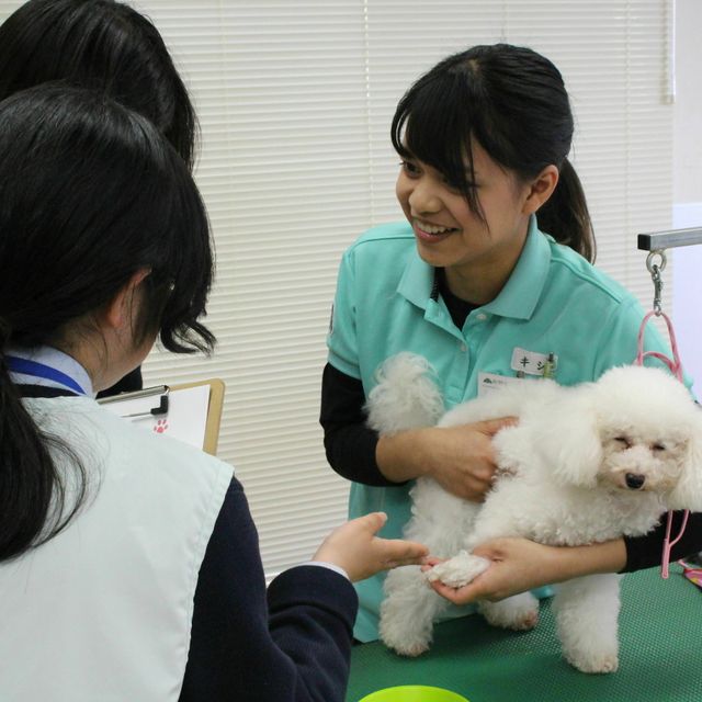 全学科体験 国際動物専門学校のオープンキャンパス情報と予約申込 スタディサプリ 進路