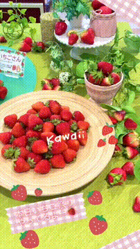 OCカメラサムネイル画像