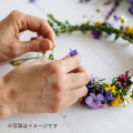 テクノ・ホルティ園芸専門学校 フラワーデザイン実習★かわいい花冠を作ろう！