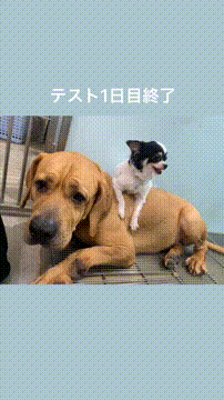 OCカメラサムネイル画像