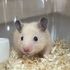 高崎動物専門学校 【ペットショップ・飼育】エキゾチックアニマルのことを学ぼう！1