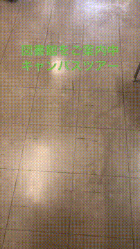 OCカメラサムネイル画像