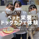 ドッグカフェ体験でインスタ映えメニューを作ろう☆の詳細
