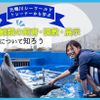 ＴＣＡ東京ＥＣＯ動物海洋専門学校 元鴨川シーワールドトレーナーから学ぶ、鯨類の飼育・調教・展示