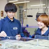 【水族館・アクアリスト】魚の生態や飼育方法を学ぼう！の詳細