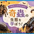 ＴＣＡ東京ＥＣＯ動物海洋専門学校 ハロウィンスペシャル！奇蟲の生態を学ぼう