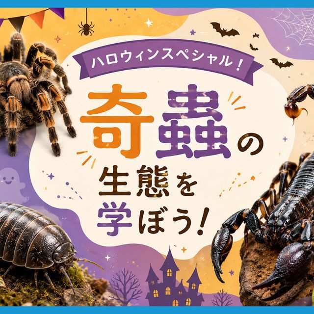ＴＣＡ東京ＥＣＯ動物海洋専門学校 ハロウィンスペシャル！奇蟲の生態を学ぼう1