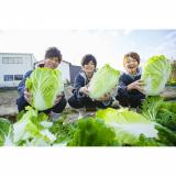 詳細を見る
