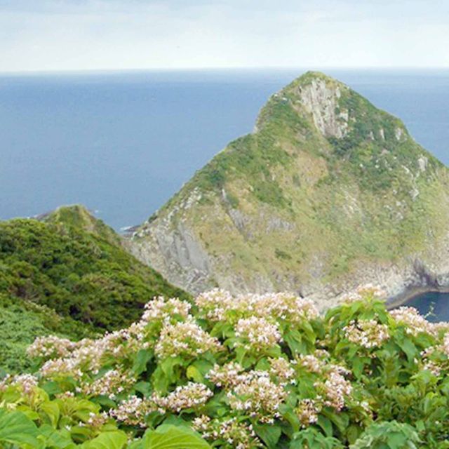 東京環境工科専門学校 『無人島調査記』体験授業を同時開催！1