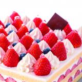 プチオーキャンの詳細