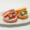 専門学校ビジョナリーアーツ フルーツマカロン（takeout）