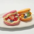 専門学校ビジョナリーアーツ フルーツマカロン（takeout）