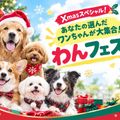 ＴＣＡ東京ＥＣＯ動物海洋専門学校 あなたの選んだワンちゃんが大集合！わんフェス！