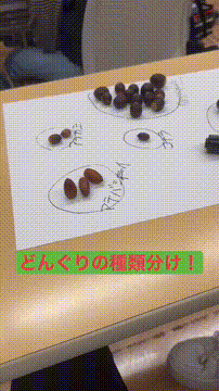 OCカメラサムネイル画像