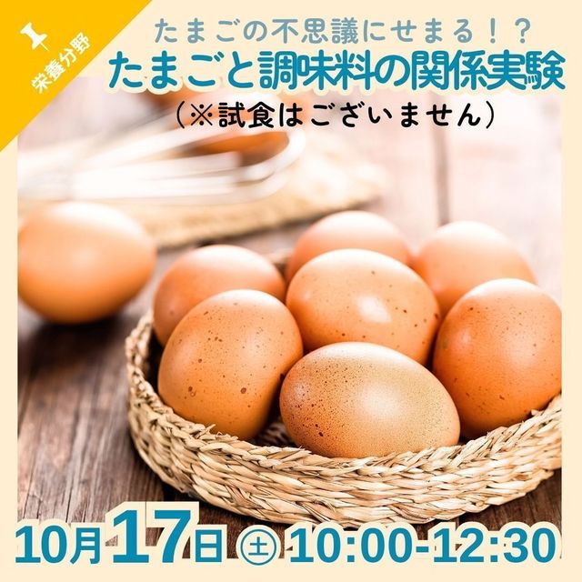 京都栄養医療専門学校 【栄養分野】硬さが変わる！？たまごと調味料の関係実験1