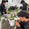 テクノ・ホルティ園芸専門学校 花づくり実習★オリジナルペチュニアをつくろう！