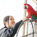 専門学校ビジョナリーアーツ Vaふれあい動物園