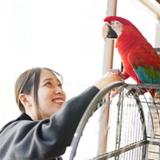 Vaふれあい動物園の詳細