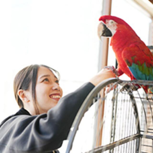 専門学校ビジョナリーアーツ Vaふれあい動物園1