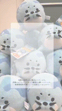 OCカメラサムネイル画像