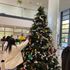 大阪常磐会大学 12/19（土） 冬のオープンキャンパス2