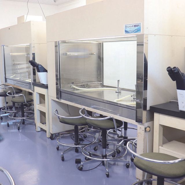 東京医薬看護専門学校 医薬品研究技術者の仕事を体験してみよう！3