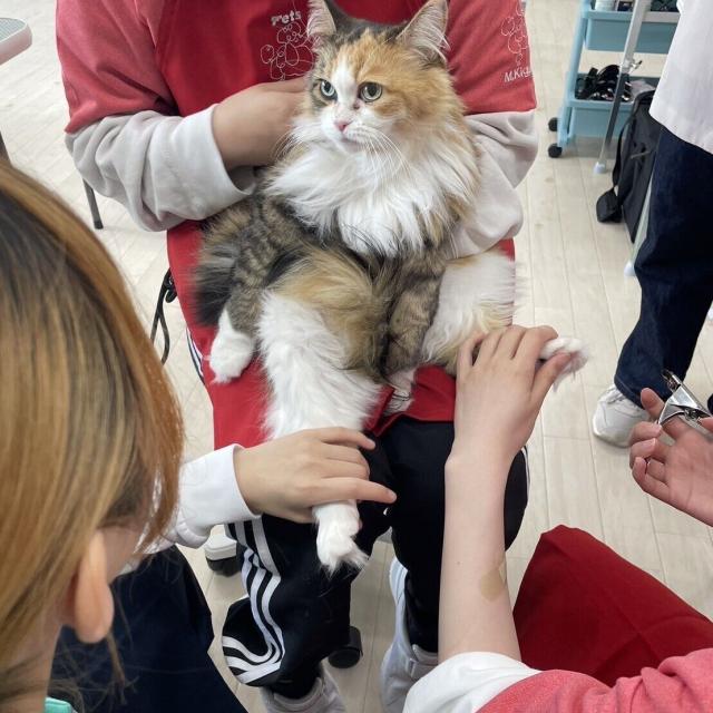 新潟ペット動物専門学校 わんにゃんDay！2