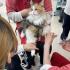 新潟ペット動物専門学校 わんにゃんDay！2
