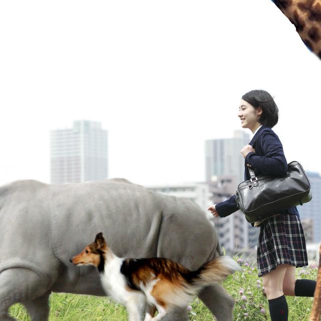 神戸動植物環境専門学校 【高校生だけでなく既卒生も大歓迎☆】KAPオープンカレッジ1